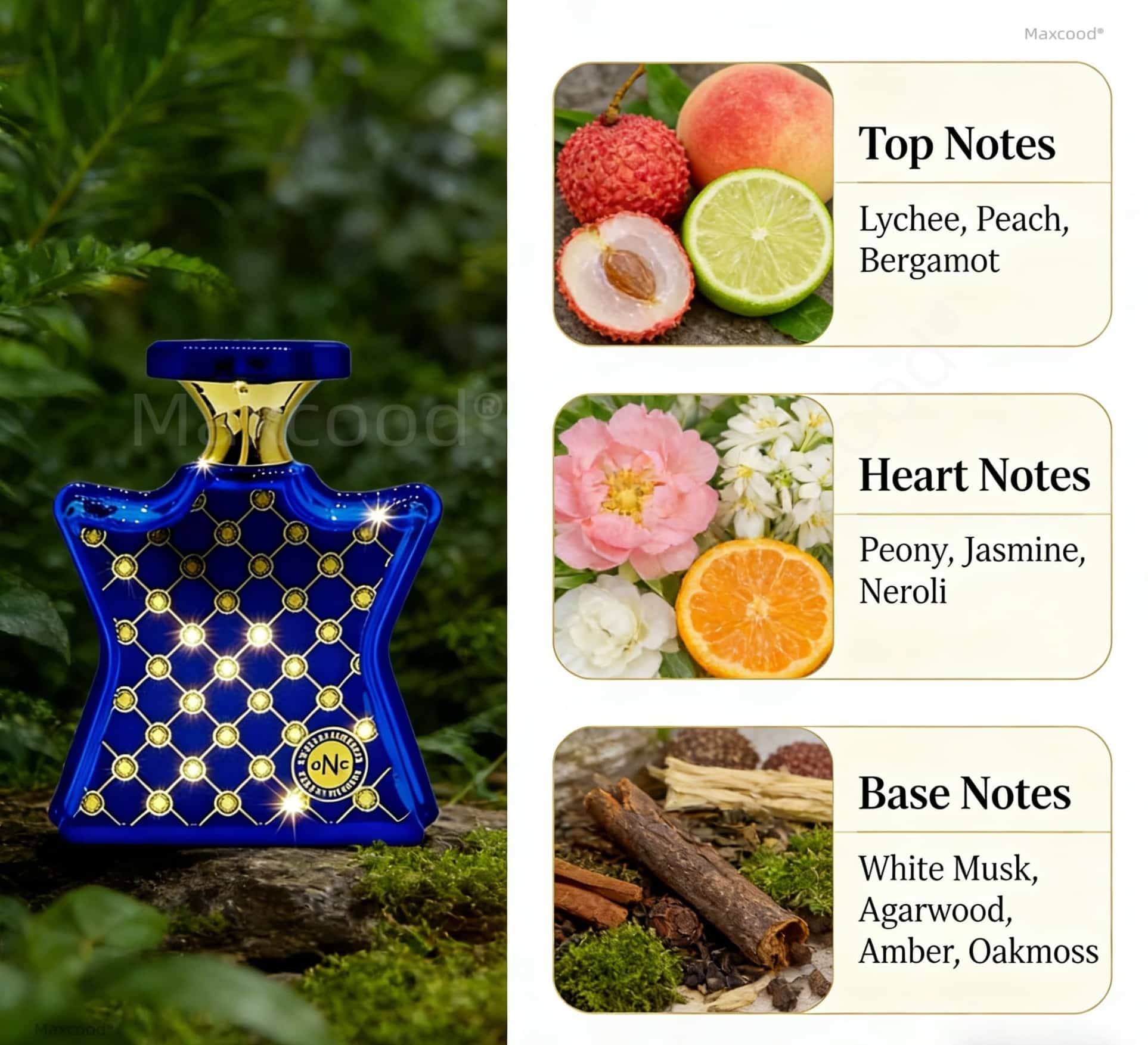 Citrus and Floral Perfume Long - Perfume Luxury Fragrance ulasan dan harga