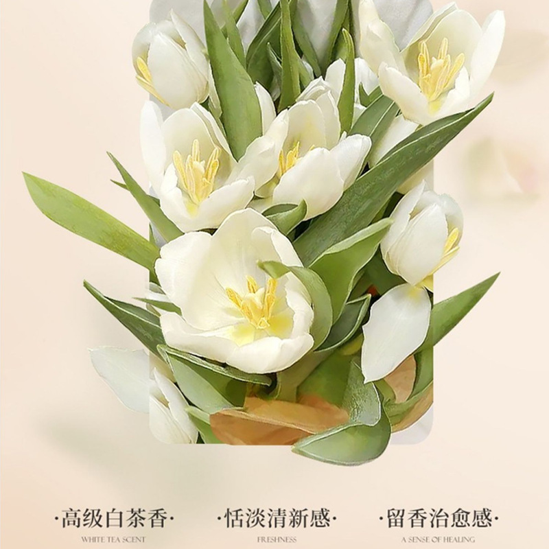 Camellia shower gel perfume fr - Perfume Fragrance Families ulasan dan harga